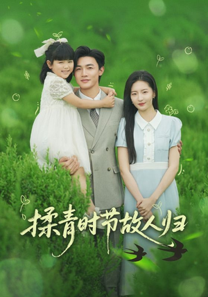 【揉青时节故人归】60集免费短剧畅享全集看