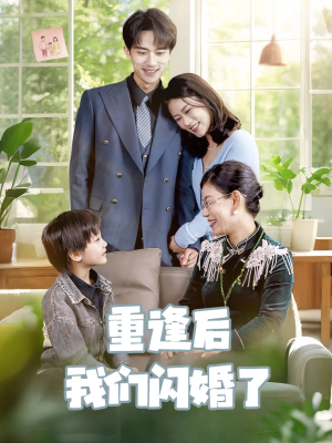 【重逢后我们闪婚了】35集免费短剧全集赏看