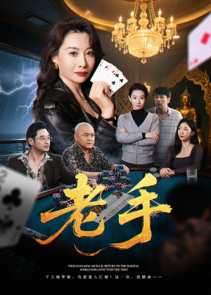 【老手】36集精彩短剧免费全集观瞧