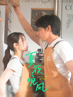 【夏夜晚风】12集短剧免费全集在线览