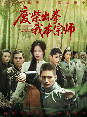 【废柴出拳我本宗师】61集短剧全网免费观看