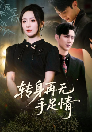 【转身再无手足情】71集短剧免费全览看