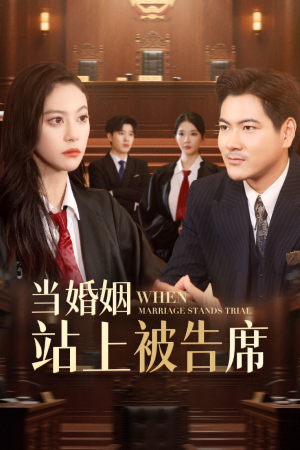 【当婚姻站上被告席】30集在线短剧全集观览