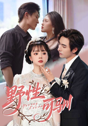 【野性可驯】63集短剧在线免费畅看