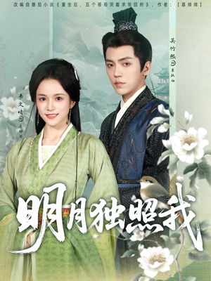 【明月独照我】80集免费短剧全集观享