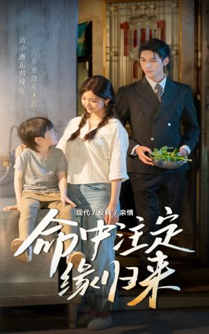 【命中注定缘归来】63集短剧免费畅享在线看