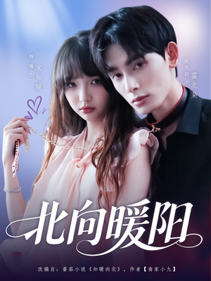【北向暖阳】80集免费在线短剧全集观