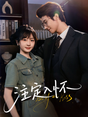 【注定入怀】70集短剧在线免费快看