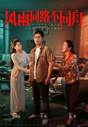 【风雨同居不同舟】32集免费短剧全集赏看