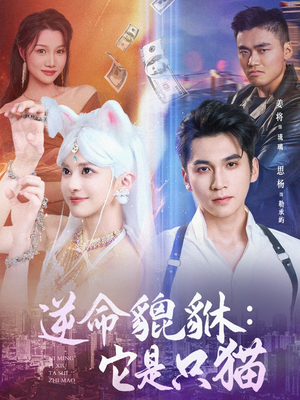 逆命貔貅它是只猫（35集）短剧在线观看