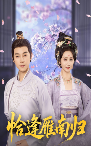 恰逢雁南归（51集）短剧太好看了