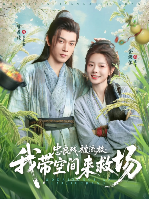 忠良残被流放我带空间来救场（75集）80到100集