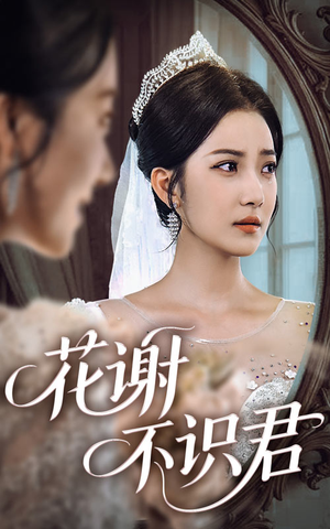 花谢不识君（40集）全集在线看