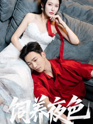 饲养夜色（86集）第一集