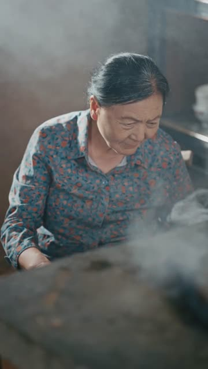 让你去变形记没让你带乡村致富(70集）全集