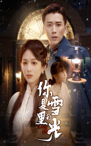 你是雪里的光（64集）独家短剧免费看