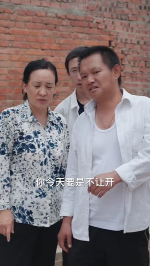 逍遥小村医 (84集)短剧热门合集