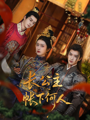 长公主帐下何人（81集）真的太好看了