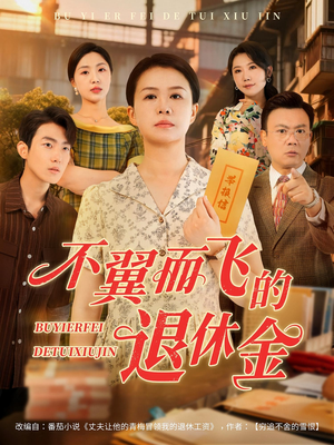 不翼而飞的退休金（63集）看到大结局