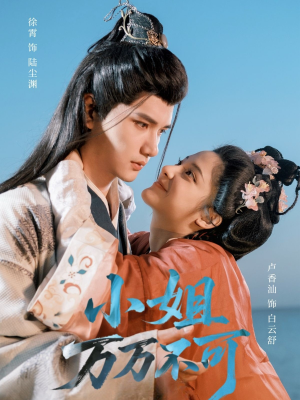 小姐万万不可（74集）全集一次看完