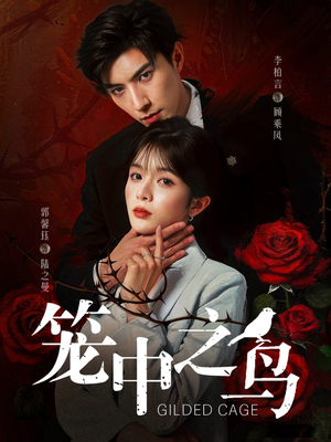 笼中之鸟（70集）短剧推荐上热门