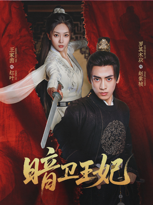 暗卫王妃（60集）全季一次看完