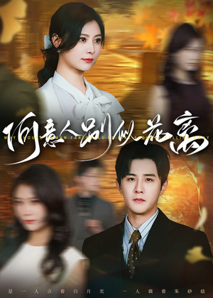 何意人别似花离（61集）短剧排行榜