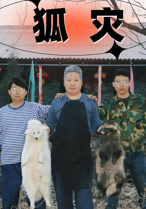 狐灾（25集）热门短剧追到爽