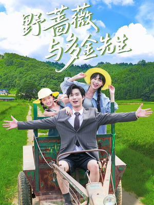 野蔷薇与多金先生（63集）在哪看是免费的