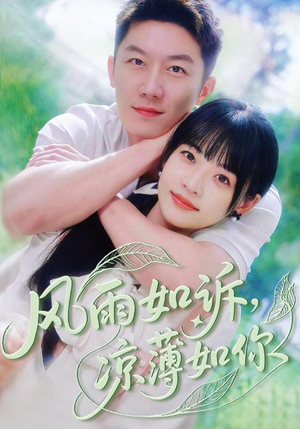 风雨如诉凉薄如你（70集）短剧演员排行榜