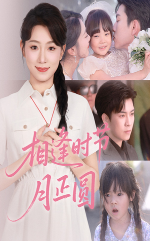 相逢时节月正圆（54集）看短剧放松一下