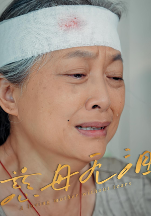 慈母无泪（30集）精彩短剧后续