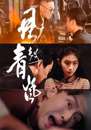 风起青岚（96集）集免费看短剧