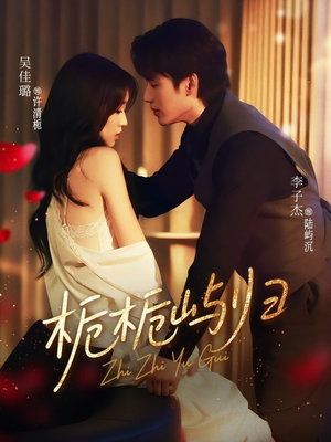 栀栀屿归（80集）短剧在线更新