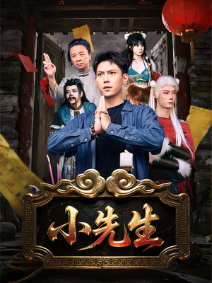 小先生（79集）全集下载