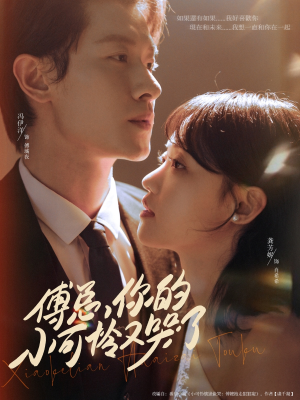 傅总你的小可怜又哭了（80集）演的怎么样