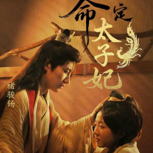命定太子妃（63集）最新热门短剧
