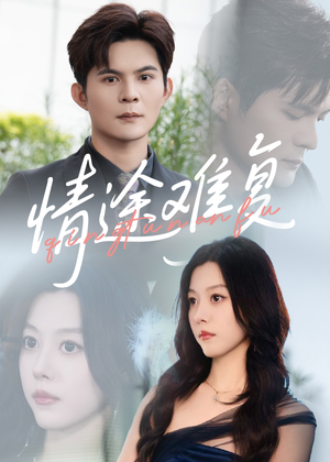 情途难复（50集）看到了大结局