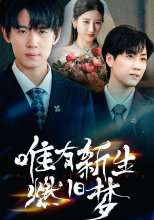 唯有新生燃旧梦（55集）短剧演员排行榜