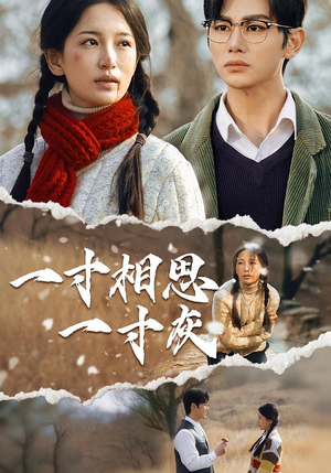 一寸相思一寸灰（43集）火爆短剧推荐