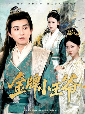 金牌小王爷（80集）第二季