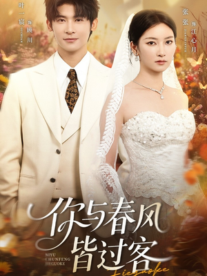 你与春风皆过客（66集）每日短剧推荐