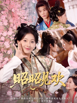 昭昭见欢（66集）短剧追到爽