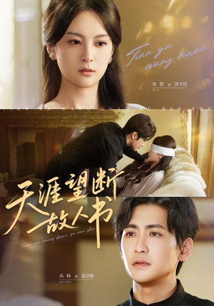 【天涯望断故人书】60集在线播放短剧免费全集