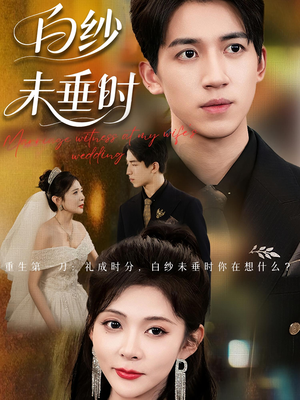 老婆婚礼我当证婚人（54集）热播短剧免费看