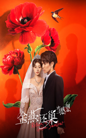 【金燕还巢当感恩】55集精彩短剧在线流畅看