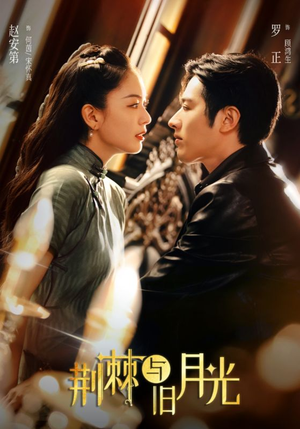 荆棘与旧月光（80集）爆款短剧推荐