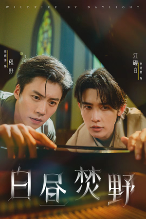 白昼焚野（70集）热门火爆短剧