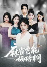 麻雀岂能栖梧桐（31集）热门短剧推荐。