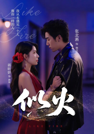 【似火】80集在线免费短剧全集观映